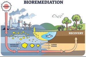 Image for Chemical Products tile in Business Divisions